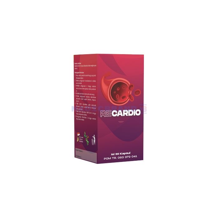 〚 Recardio 〛 〚 produto estabilizador de pressão 〛