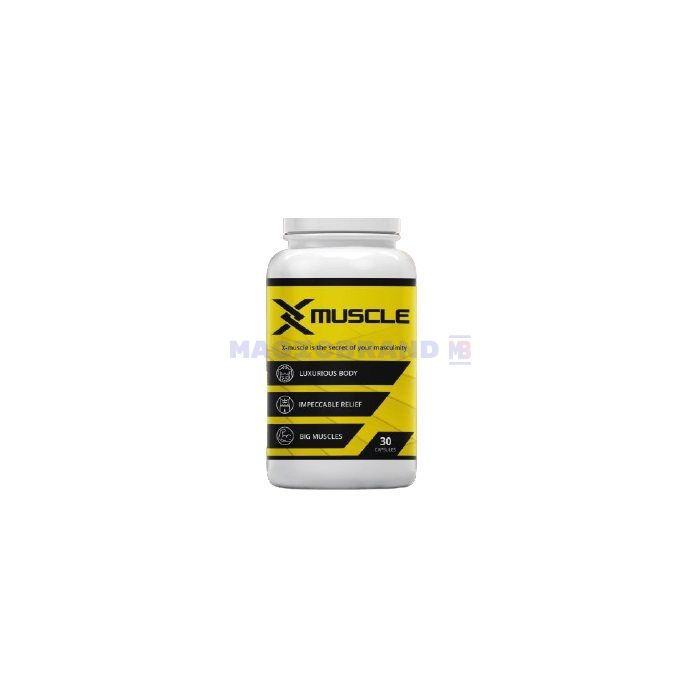 〚 X-Muscle 〛 〚 para construção muscular 〛