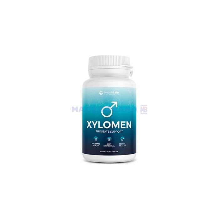 〚 Xylomen 〛 〚 capsules for prostatitis 〛