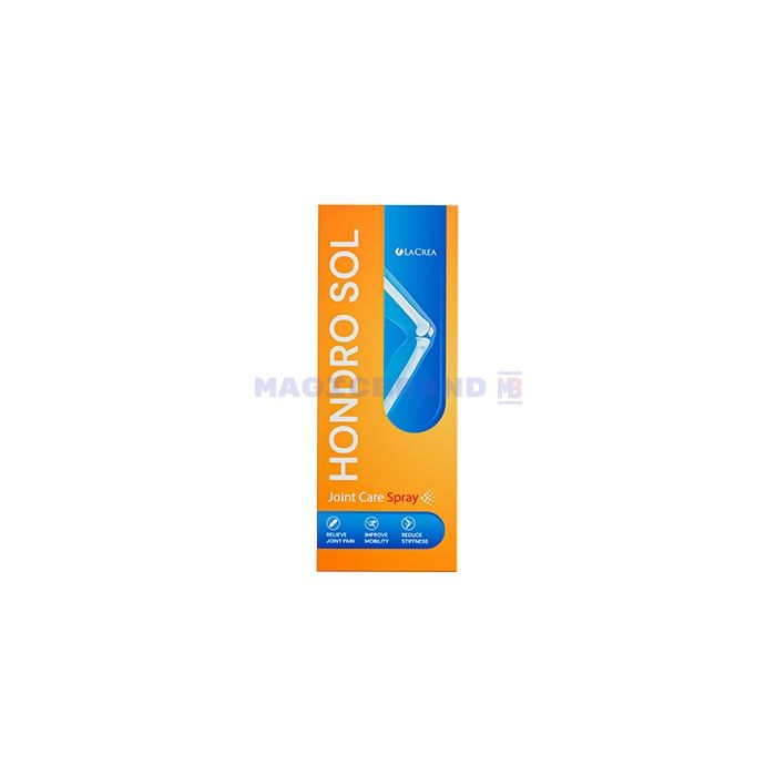 〚 Hondro Sol 〛 〚 joint health product 〛