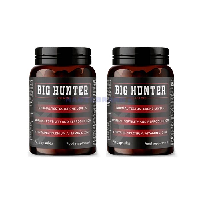 〚 Big Hunter 〛 〚 capsules pour la prostatite 〛