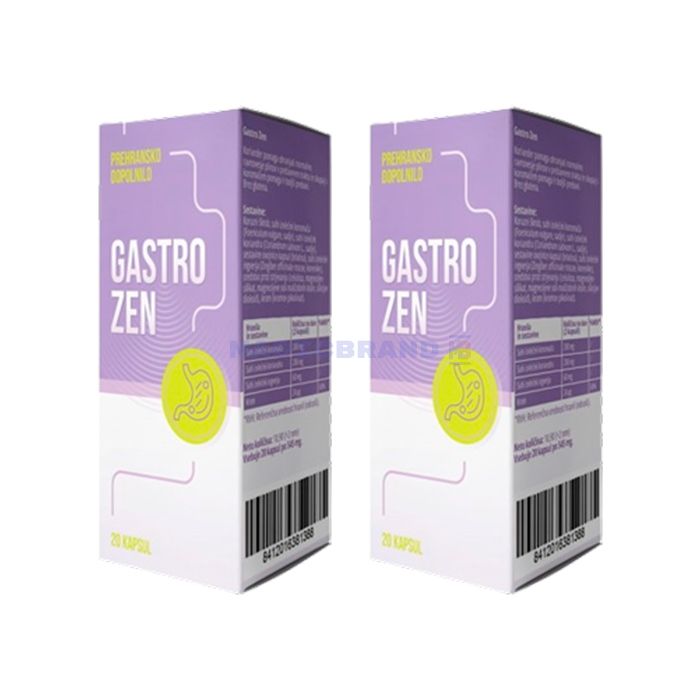 〚 Gastro ZEN 〛 〚 remedy for the health of the stomach and digestive system 〛