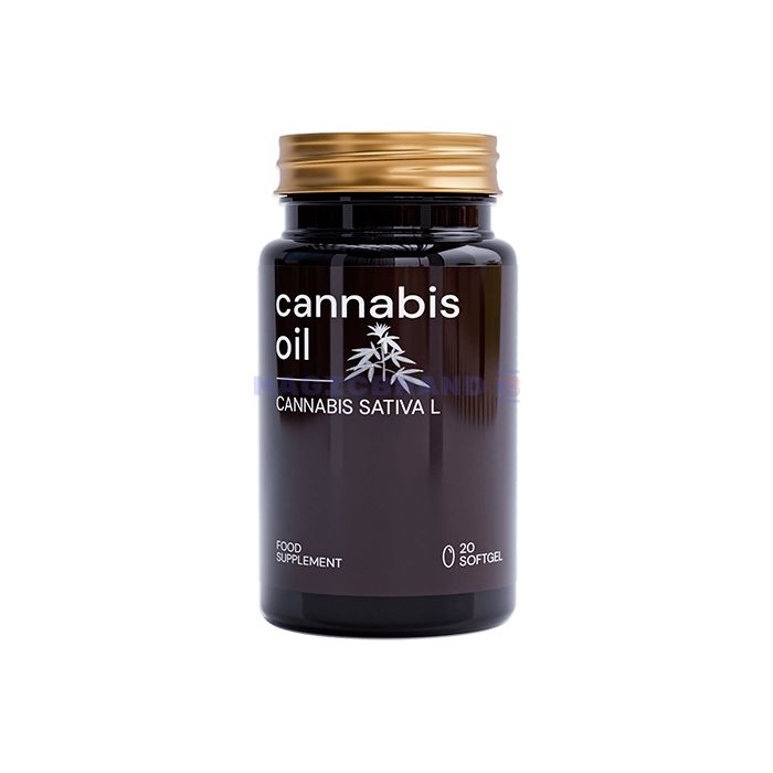 〚 Cannabis Oil Prostatitis 〛 〚 produkt na zdravie prostaty 〛