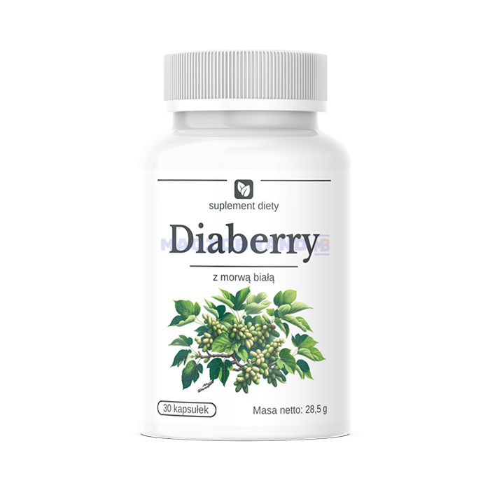 〚 Diaberry 〛 〚 means for normalizing sugar levels 〛